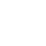 VANITATIS_W